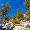 Palm Springs Aerial Tramway, December 2009