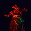 Disneyland Fantasmic Photo, First performance June 30, 2012